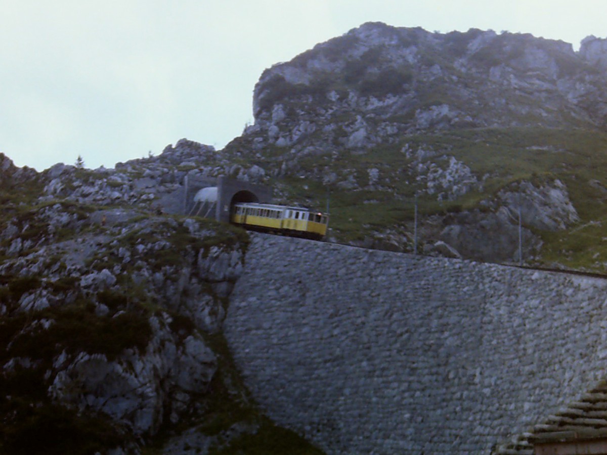 1981_0016