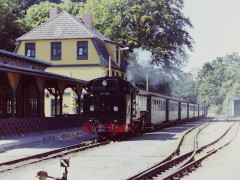 2003_0113
