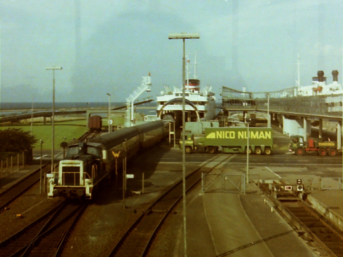 1981_0039